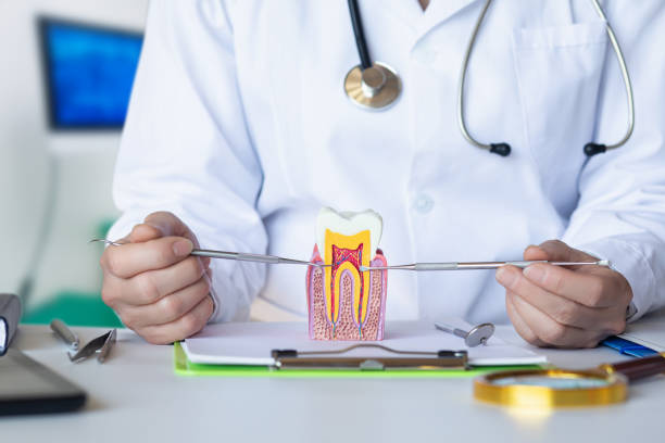 Best Urgent Care for Lost Fillings or Crowns in Lake In The Hls, IL
